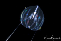 Underwater flying saucer by Mario Robillard 